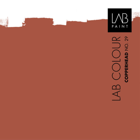 LAB Colour Sample | COPPERHEAD NO. 29