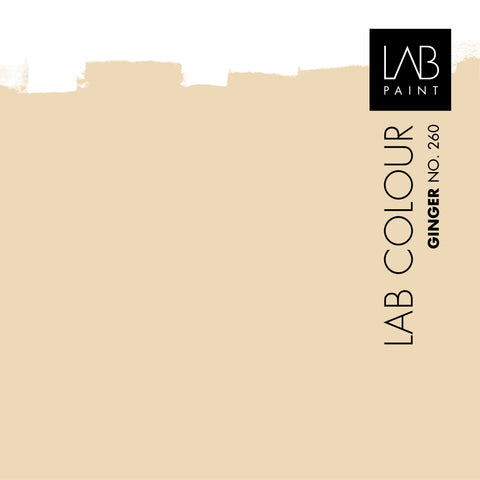 LAB Wandfarbe | Ingwer Nr. 260