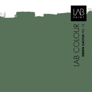 NEU: LAB Wandfarbe Außen | Grüner Kaktus Nr. 12