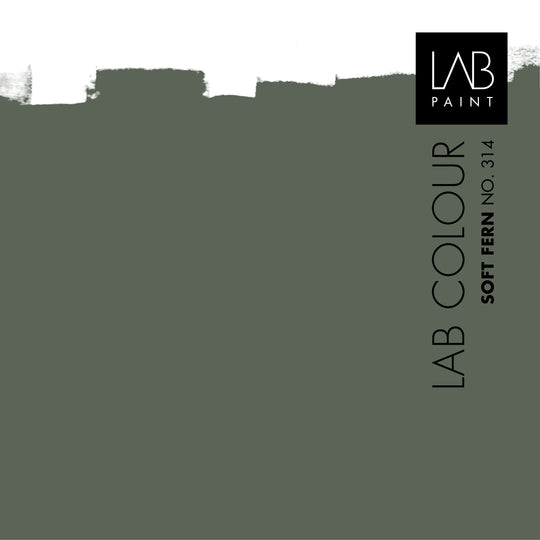 LAB Außenfarbe | WEICHER FARN NR. 314