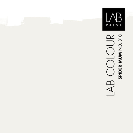 LAB-Wandfarbe | SPINNENMUTTER NR. 310