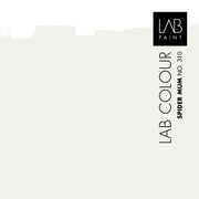 LAB Multiprimer | Spider Mum no. 310