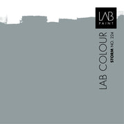 LAB Color Swatch | STORM NO. 224