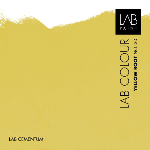 LAB Cementum Walls | YELLOW ROOT NO. 30 | LAB ARCHIVE COLOURS