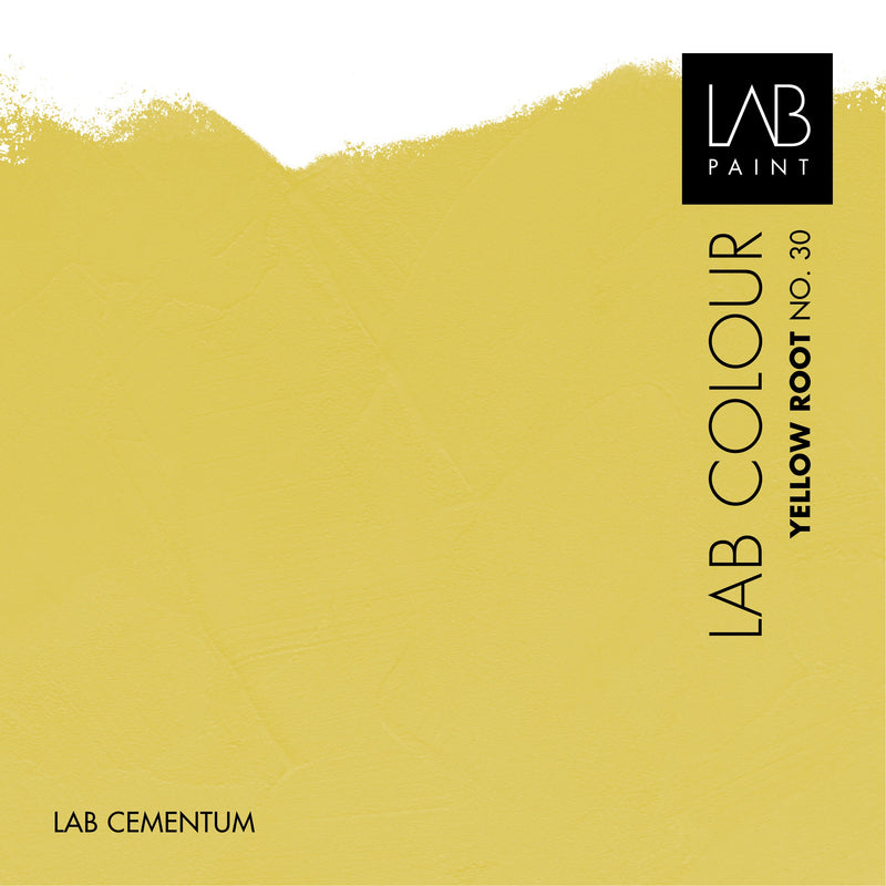 LAB Cementum Walls | Yellow Root no. 30 | LAB Archive Colours