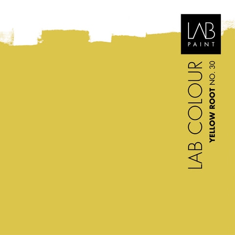 YELLOW ROOT NO. 30 | Spice Colours by Marie-Gon - Vestingh Paint • Craft • Lifestyle