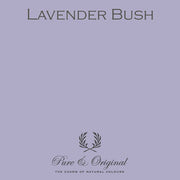Marrakech Walls | Lavender Bush