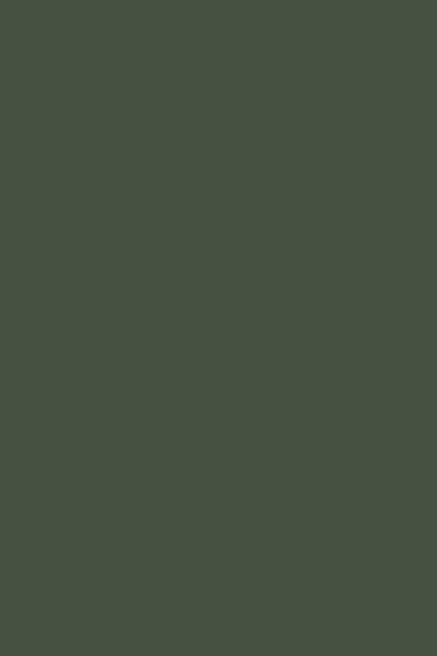 NEW: Dead Flat | Minster Green no. 224