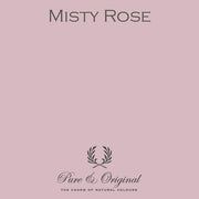 Traditional Paint High-Gloss | Misty Rose