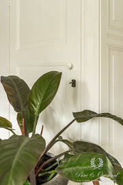 Traditional Paint High-Gloss | Natural Rice