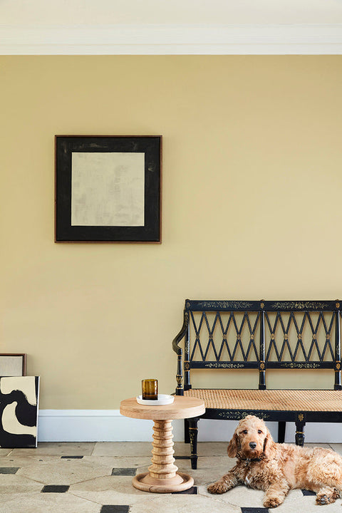 Intelligent Masonry Paint | Oak Apple no. 63