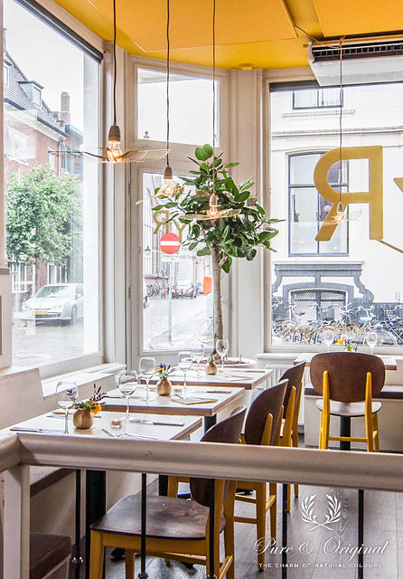 Traditional Paint Eggshell | Ocre