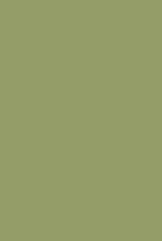 Moderne Emulsion | Olive Nr. 13