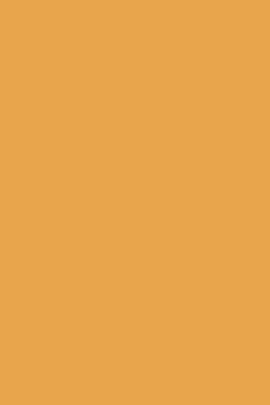 Moderne Emulsion | Orangerie Nr. 70