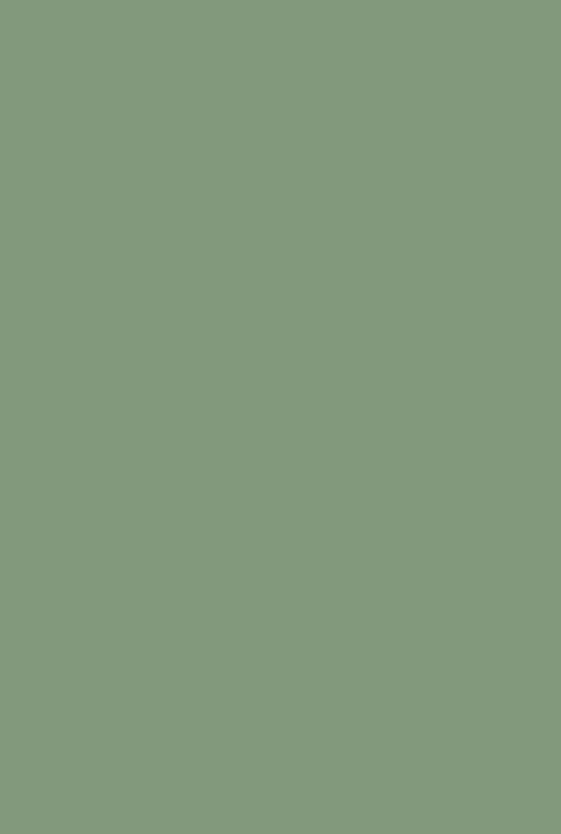 Modern Emulsion | Pea Green no. 33