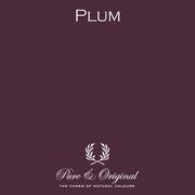 Classico | Plum