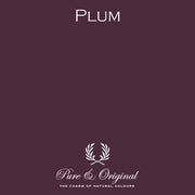 Traditional Paint Eggshell | Plum