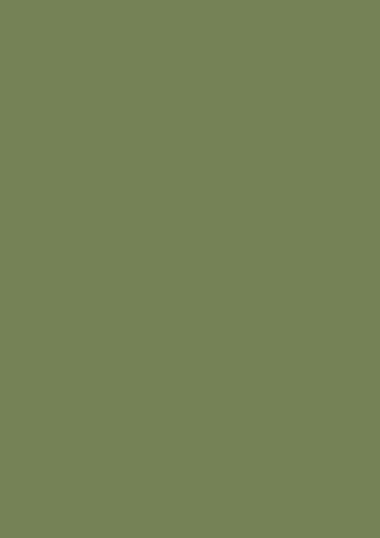 Modern Emulsion | Sap Green no. 199
