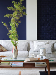 Modern Eggshell | Titmouse Blue no. W24