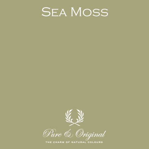 Sample potje | Sea Moss | Pure & Original