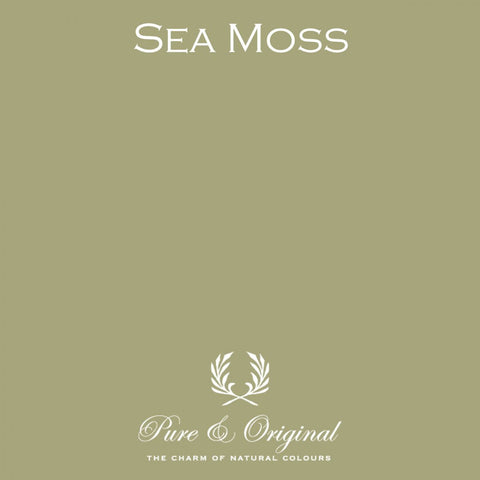 Carazzo | Sea Moss