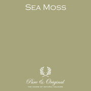 Colour Sample | Sea Moss