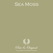 Traditional Paint Eggshell | Sea Moss