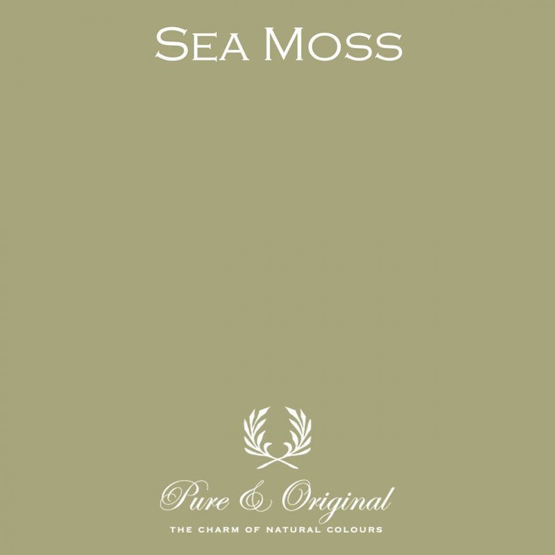 Traditional Paint Eggshell | Sea Moss