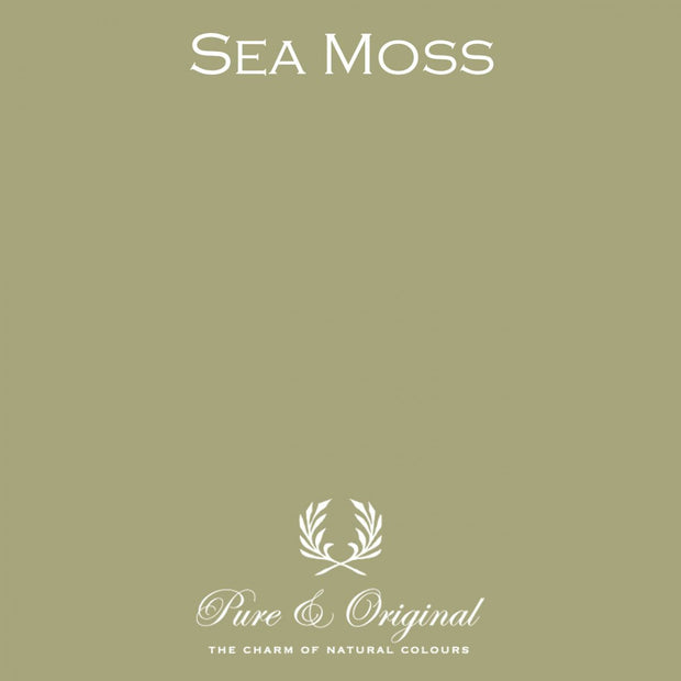Classico | Sea Moss