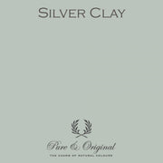 Traditional Paint High-Gloss | Silver Clay