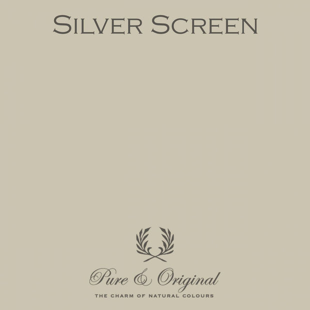 Traditional Paint High-Gloss | Silver Screen