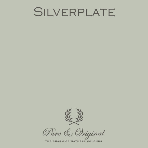 Traditional Paint High-Gloss | Silverplate