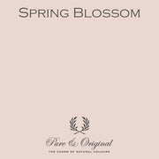 Traditional Paint High-Gloss | Spring Blossom