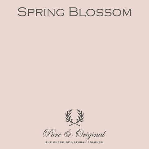 Traditional Paint High-Gloss | Spring Blossom