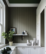 Modern Eggshell | Treron no. 292