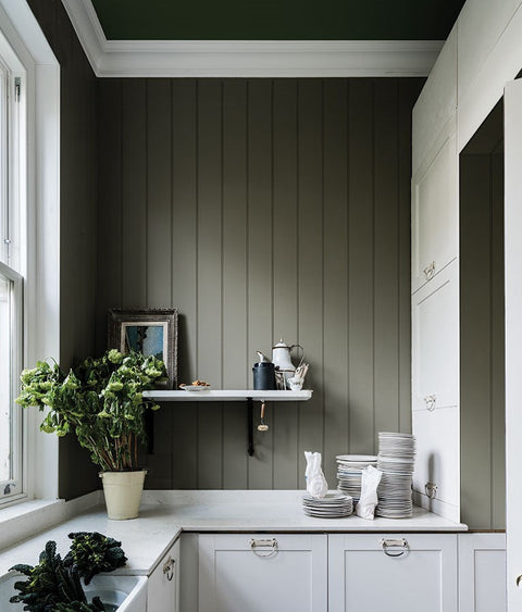 Modern Eggshell | Treron no. 292