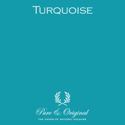 Traditional Paint High-Gloss Elements | Turquoise