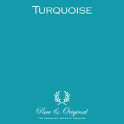 Traditional Paint Eggshell | Turquoise