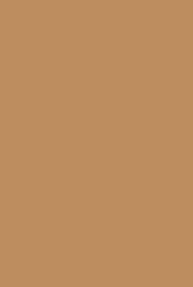 Modern Eggshell | Wet Sand no. 46