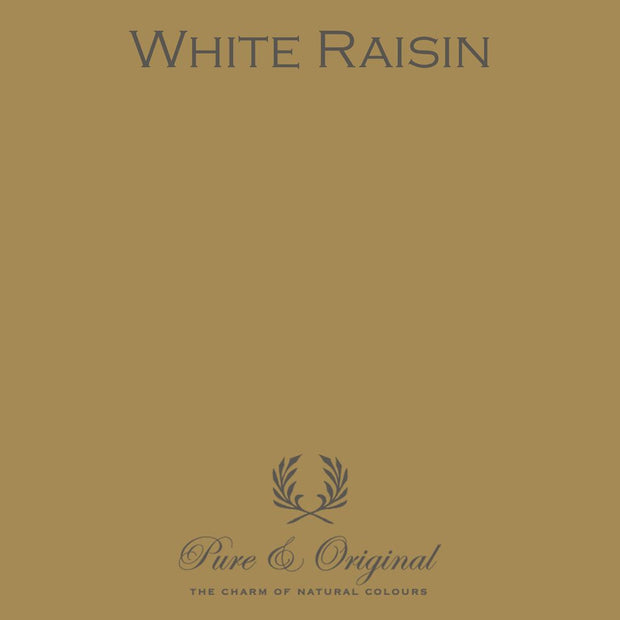 Traditional Paint High-Gloss Elements | White Raisins