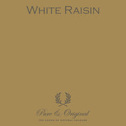 Traditional Paint Eggshell | White Raisins