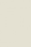 Moderne Emulsion | Ammonit Nr. 274