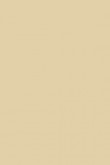 Moderne Emulsion | Archiv Nr. 227