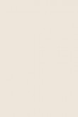 Modern Eggshell | Blackened no. 2011