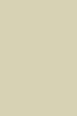 Modern Eggshell | Bone no. 15