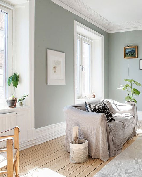 Modern Eggshell | Borrowed Light no. 235