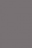 Modern Eggshell | Brassica no. 271