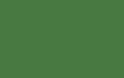 Absolute Matt Emulsion | Brilliant Green no. 127