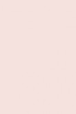 Exterior Masonry Paint | Calamine No. 230