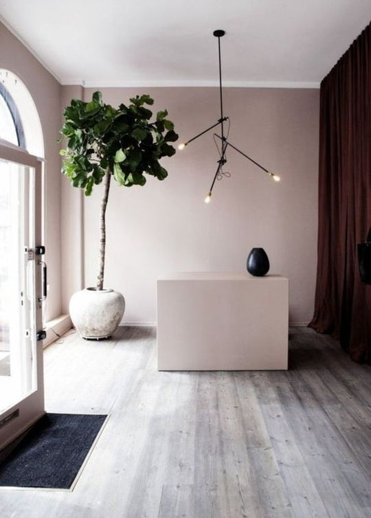 Exterior Eggshell | Calamine no. 230